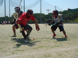 DSC02587.JPG