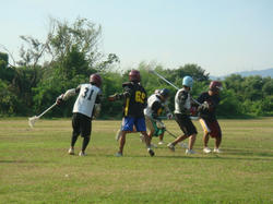 DSC02724.JPG