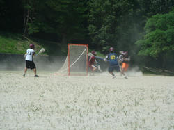 DSC02728.JPG