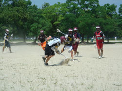 DSC02732.JPG