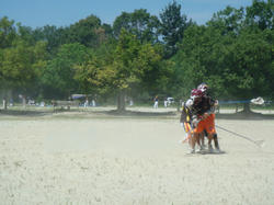 DSC02735.JPG