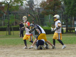P1000133.JPG