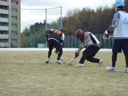 P1000442.JPG