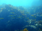 20070812_3.jpg