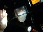 20070922_3.jpg