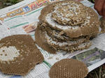 CIMG0895y6.JPG
