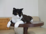 DSCF0613.JPG