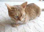 DSCF0614.JPG