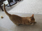 DSCF0615.JPG