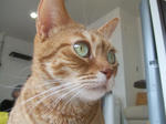 DSCF0619.JPG