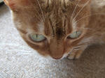 DSCF0621.JPG