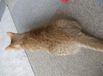 DSCF0622.JPG