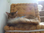 DSCF0624.JPG