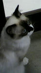 P1000219.JPG