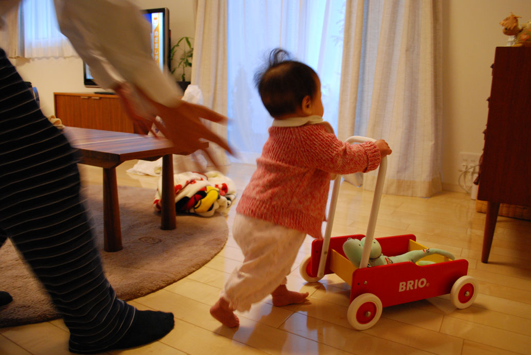 brio1.jpg