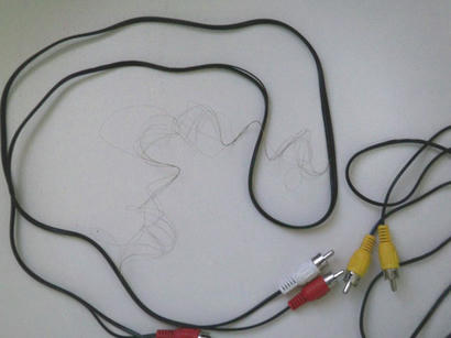 20071207_1.jpg