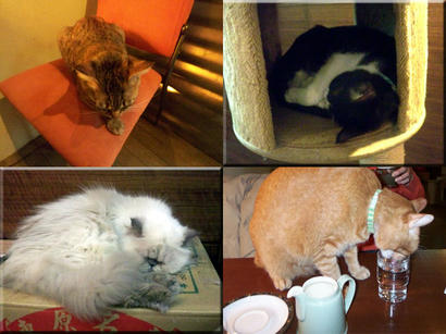 20080307_2.jpg
