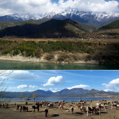 20080327_08.jpg