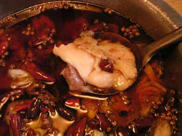 20080408_11.jpg