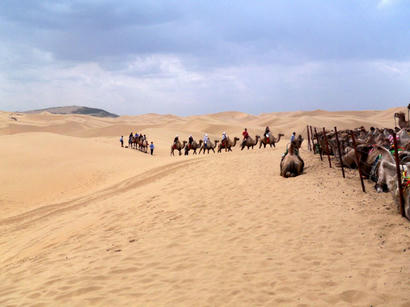 20080706_05.jpg