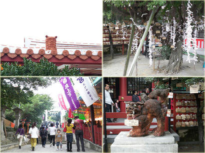 20090105_5.jpg