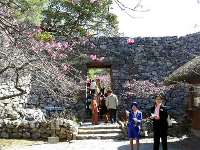 20090202_03.jpg