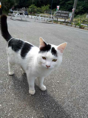 20090202_08.jpg