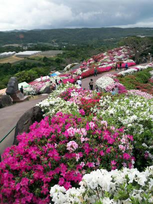 20090309_04.jpg