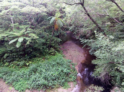 20090309_08.jpg