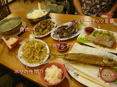 20090710_05.jpg