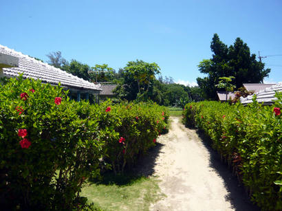 20090722_04.jpg