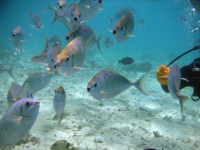 20090722_06.jpg
