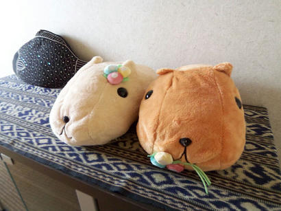 20090803_5.jpg