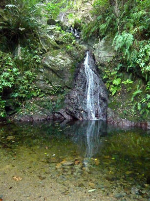 20090820_11.jpg