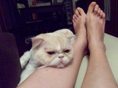 20090829_3.jpg