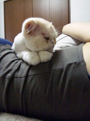 20090829_4.jpg