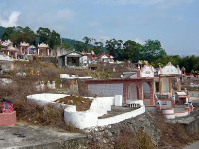 20100405_01.jpg