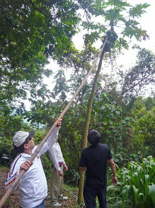 20100405_13.jpg
