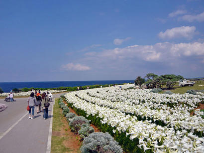 20100507_04.jpg