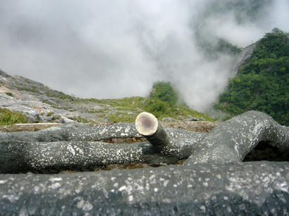 20100916_11.jpg