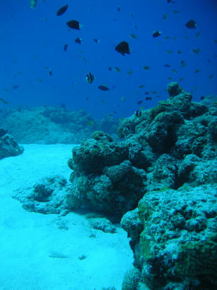 20101014_1.jpg