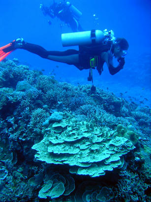 20101014_2.jpg