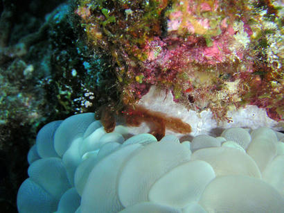 20101014_3.jpg
