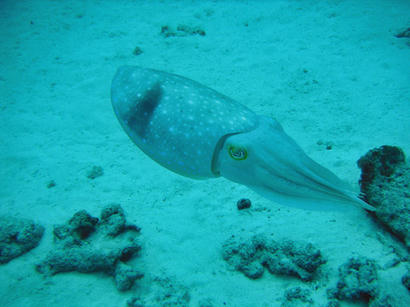 20101014_4.jpg