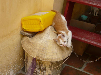 20110920_03.jpg
