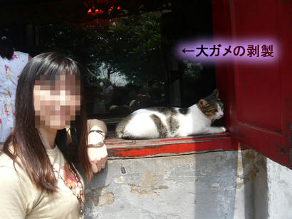 20110920_04.jpg