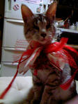 080303_005108.JPG
