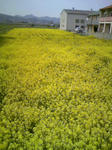 080402_123321.JPG