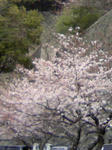 080402_112108.JPG