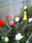 080412_171425.JPG